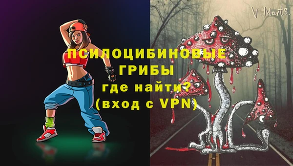 a pvp Вязьма