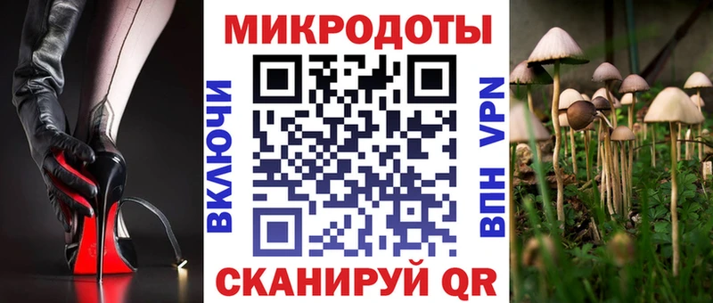 наркота  Гусев  Галлюциногенные грибы мухоморы 